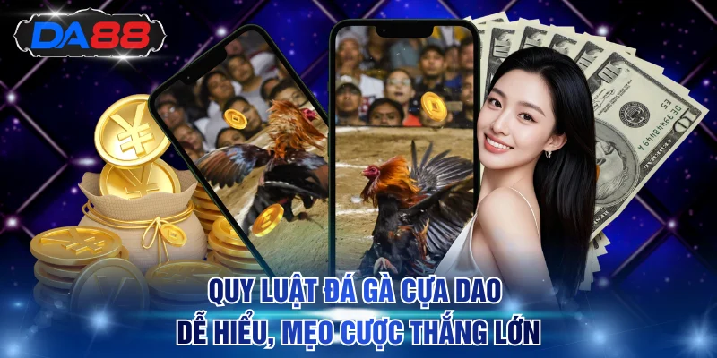 Đá gà cựa dao