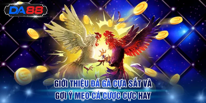 Đá gà cựa sắt