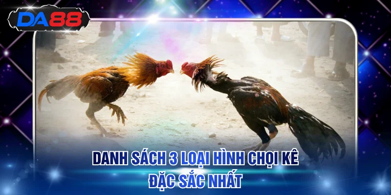 Danh sách 3 loại hình chọi kê đặc sắc nhất